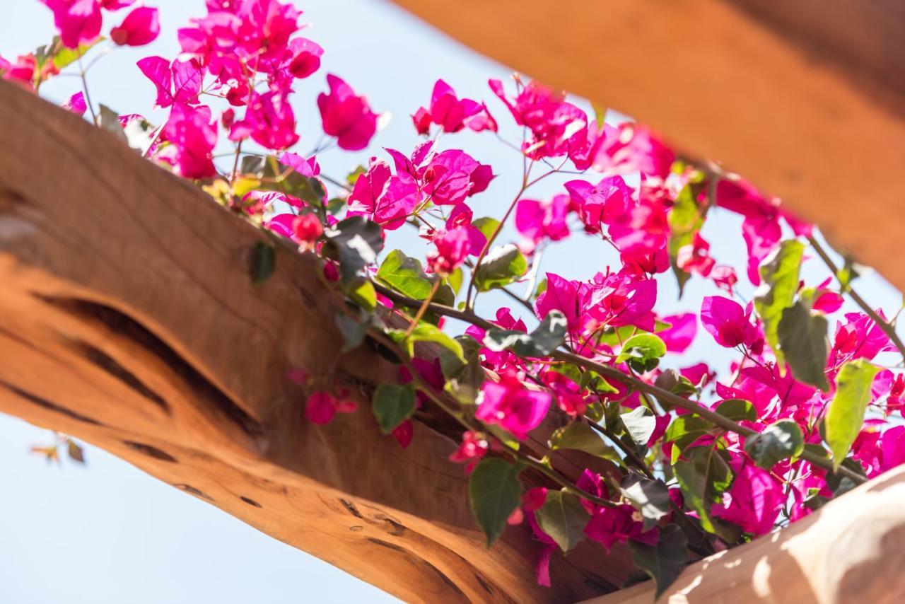 Valley Club Ibiza - Boutique Agroturismo Sant Joan De Labritja Eksteriør billede