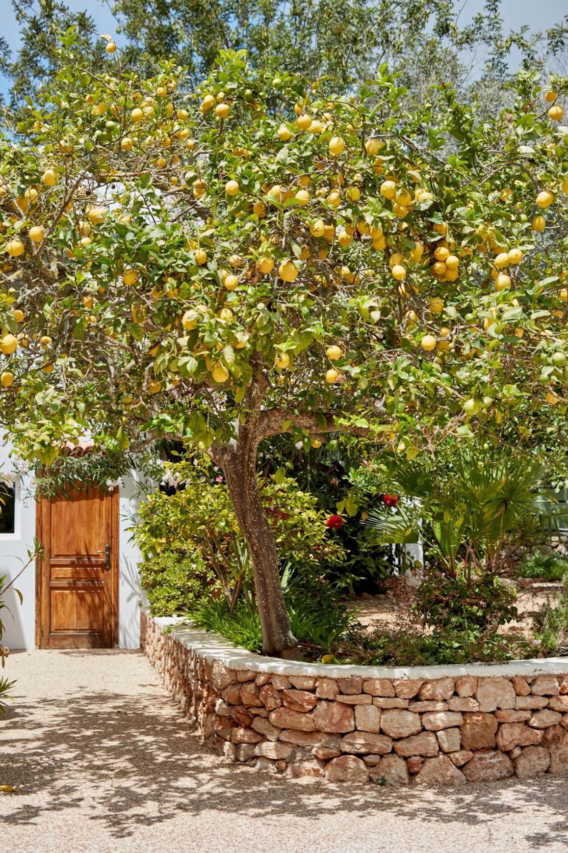Valley Club Ibiza - Boutique Agroturismo Sant Joan De Labritja Eksteriør billede